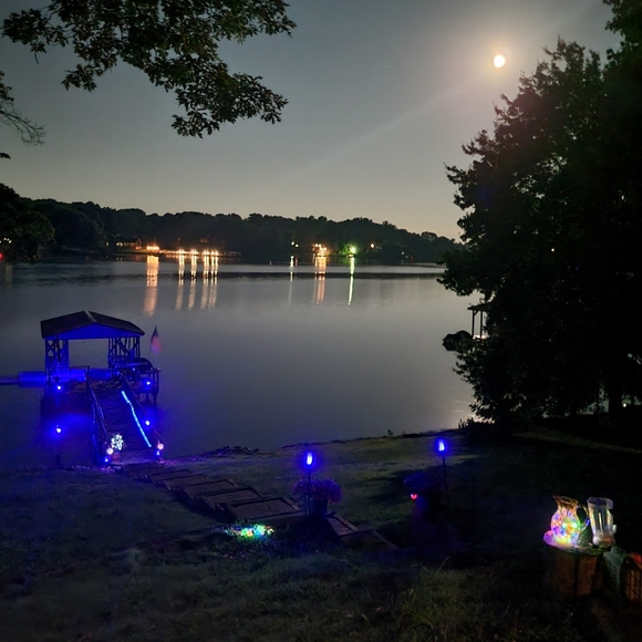 Chevron Scarf - Picture 7 of 8